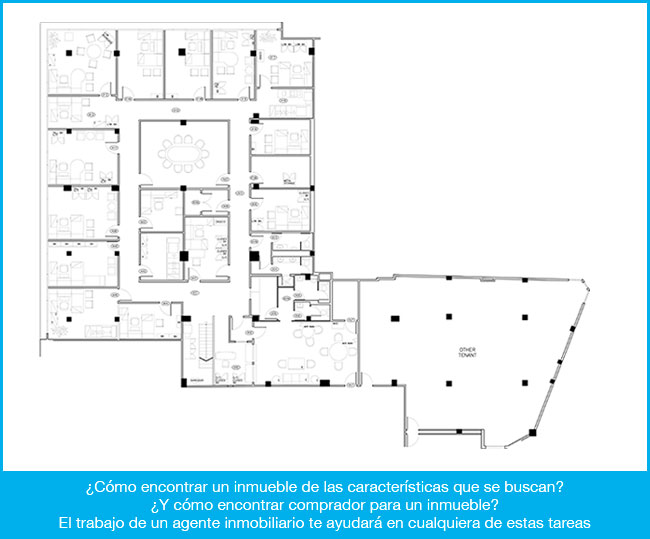 agente inmobiliario