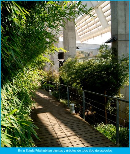 La Estufa Fría de Madrid - Blog, dulce blog