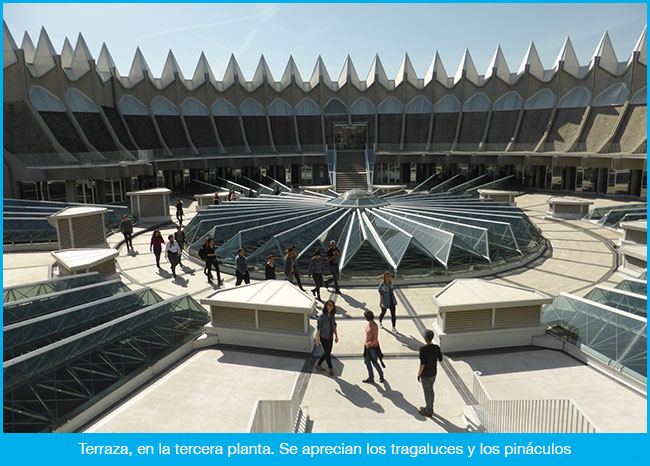 Instituto del Patrimonio Cultural de España