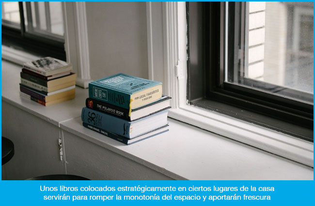 Libros para vivir, libros para decorar