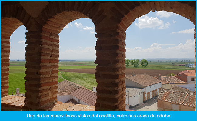 Castillo de Saldueña, en venta por Estate One