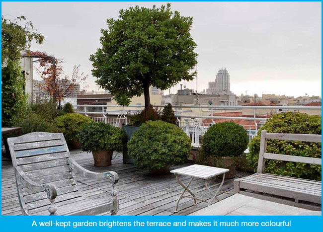 The importance of having a terrace