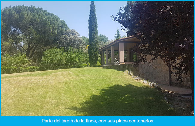 Boadilla del Monte, a residential destination