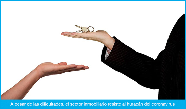 El sector inmobiliario resiste