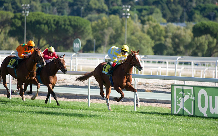 Hipódromo de la Zarzuela