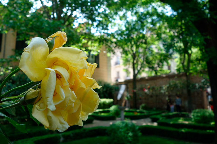 Jardín del Príncipe de Anglona